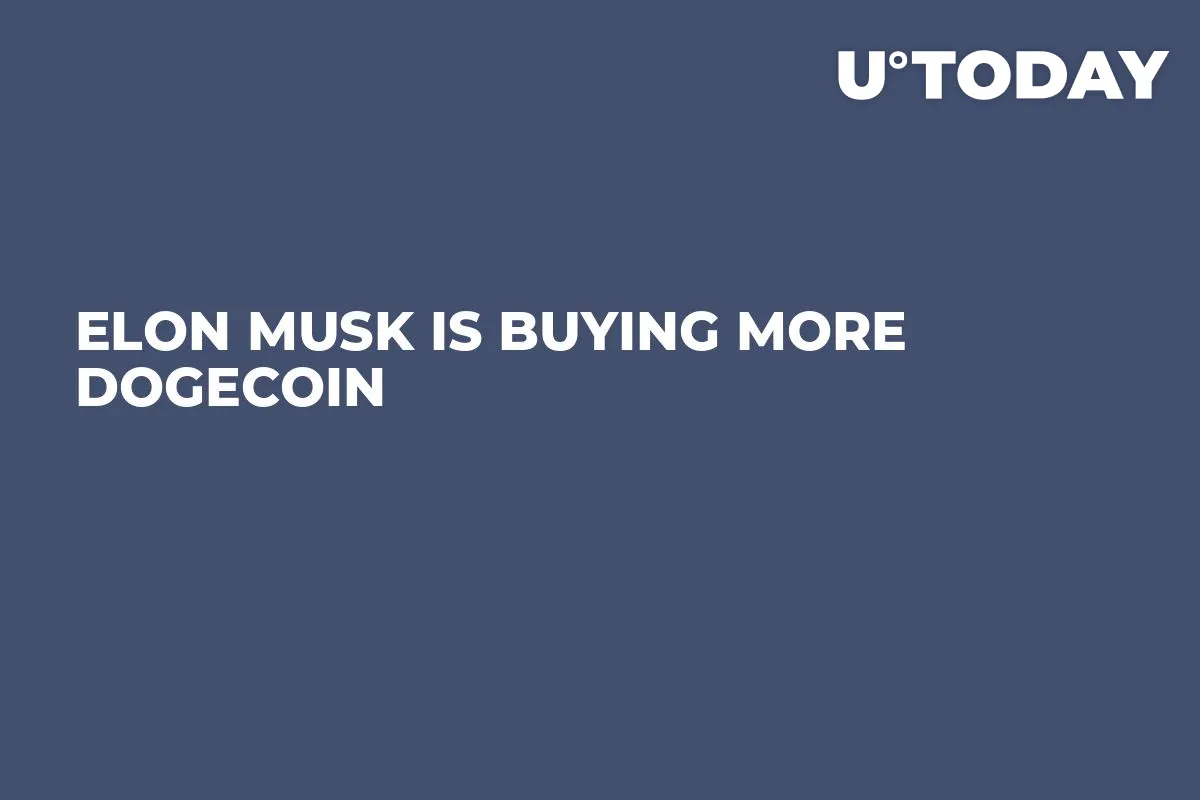 Elon Musk Is Buying More Dogecoin
