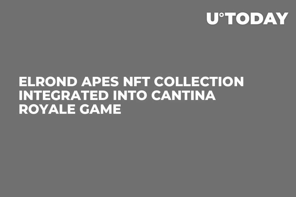 Elrond Apes NFT Collection Integrated into Cantina Royale Game
