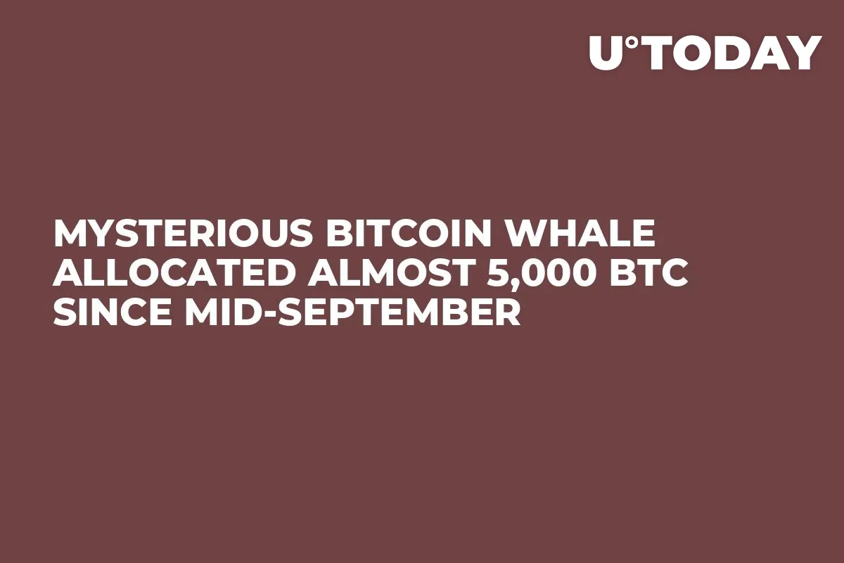 Mysterious Bitcoin Whale Allocated Almost 5,000 BTC Since Mid-September