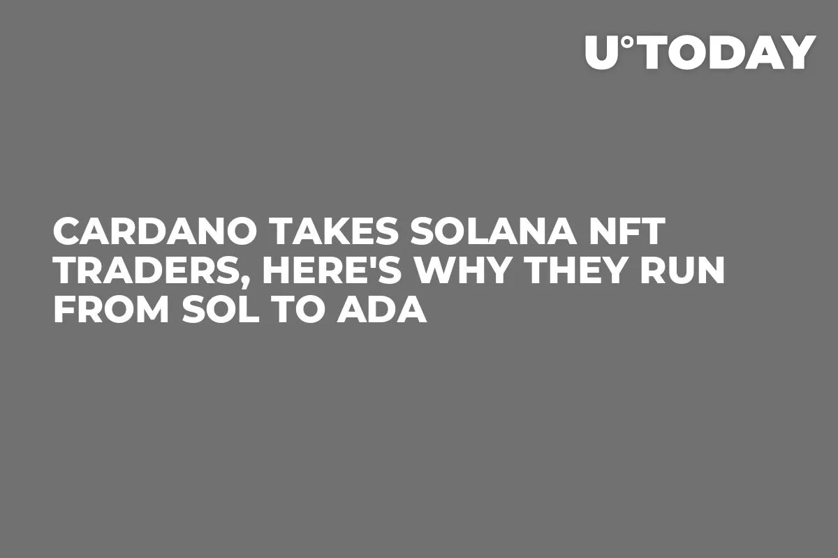 Cardano Takes Solana NFT Traders, Here's Why They Run from SOL to ADA