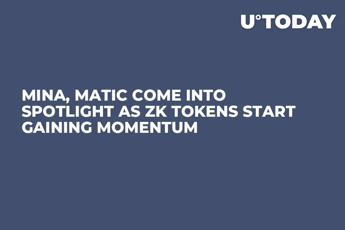 Mina, MATIC Come Into Spotlight as ZK Tokens Start Gaining Momentum