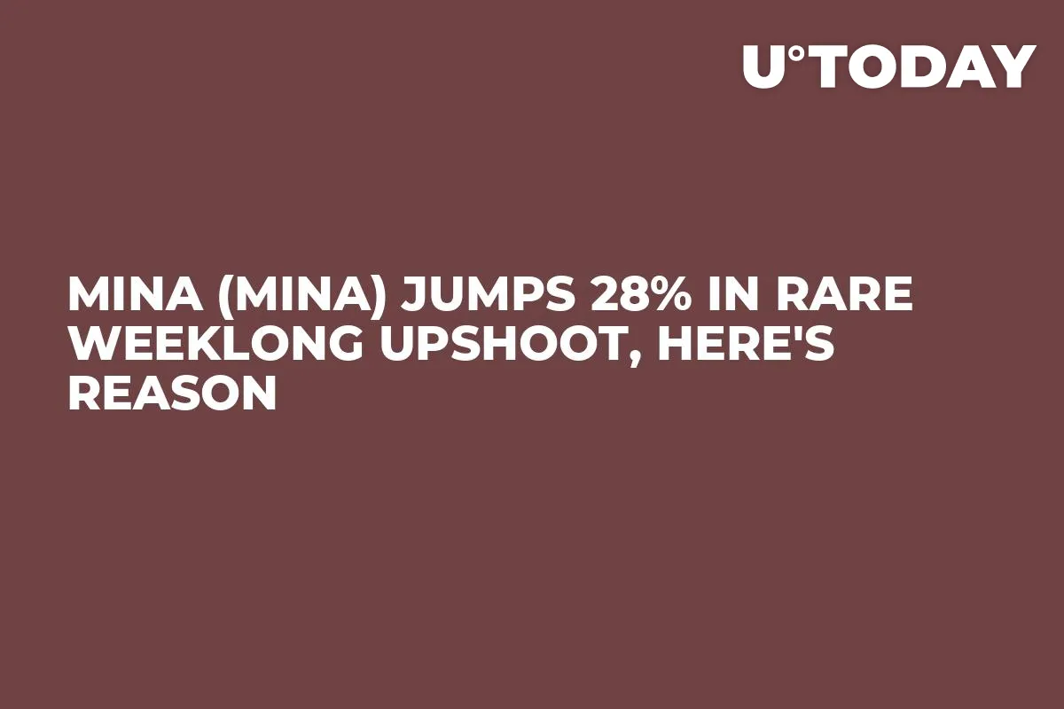 Mina (MINA) Jumps 28% in Rare Weeklong Upshoot, Here's Reason