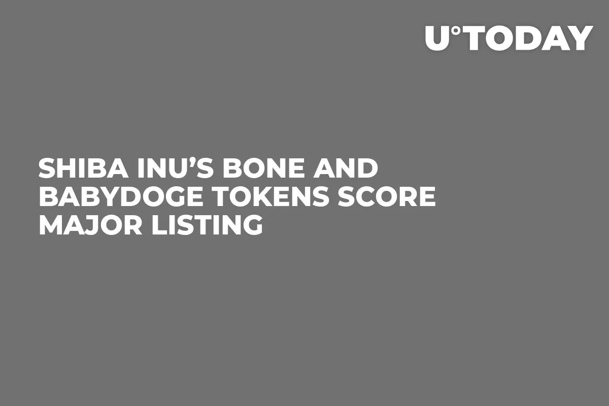 Shiba Inu’s BONE and BabyDoge Tokens Score Major Listing 