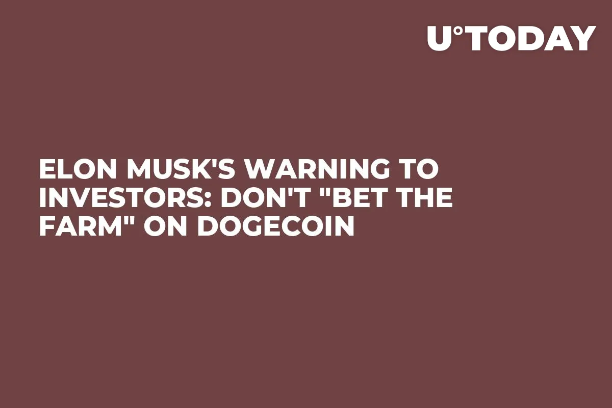 Elon Musk's Warning to Investors: Don't "Bet the Farm" on Dogecoin