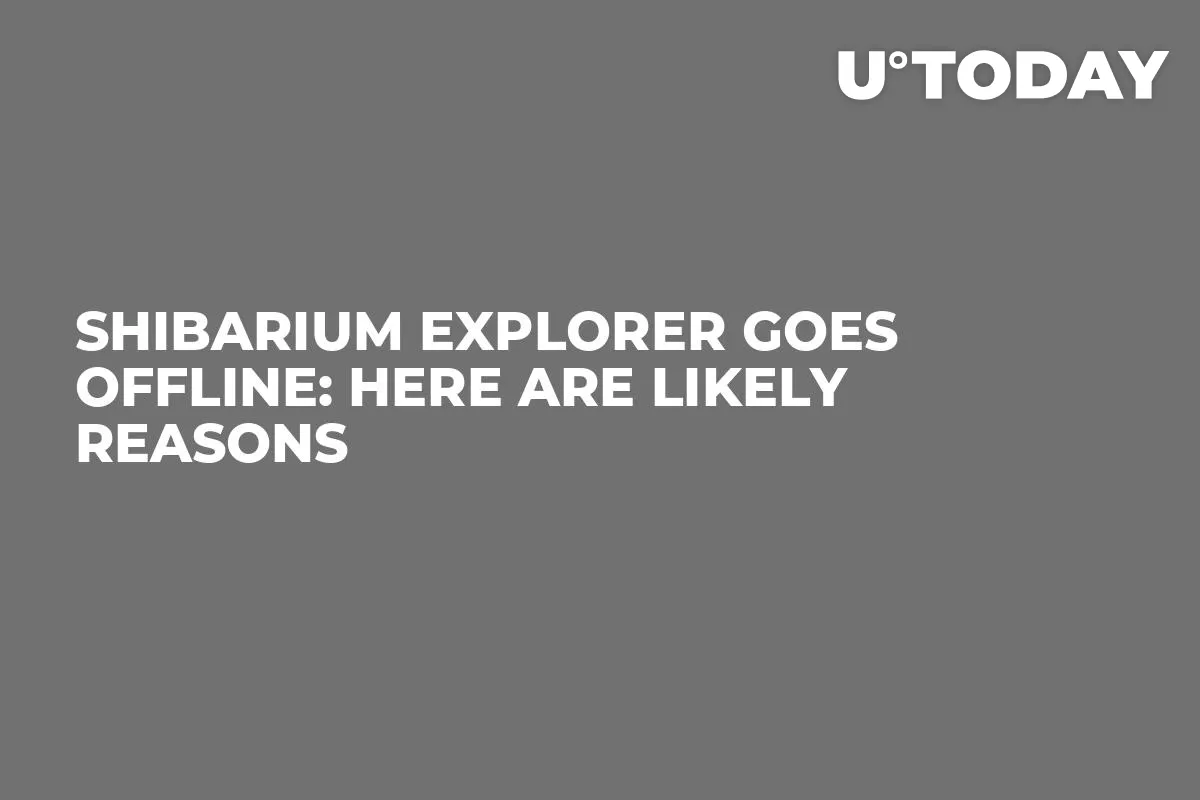 Shibarium Explorer Goes Offline: Here Are Likely Reasons