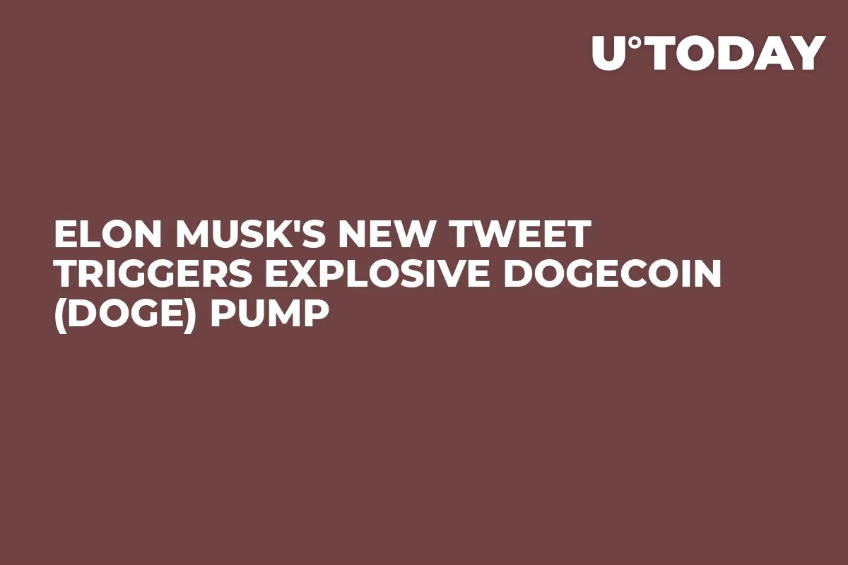 Elon Musk's New Tweet Triggers Explosive Dogecoin (DOGE) Pump