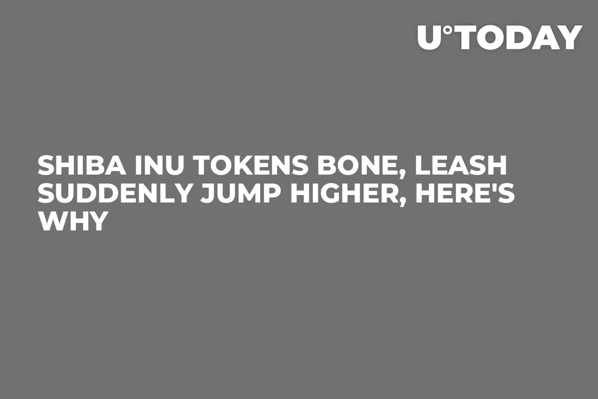 Shiba Inu Tokens BONE, LEASH Suddenly Jump Higher, Here's Why