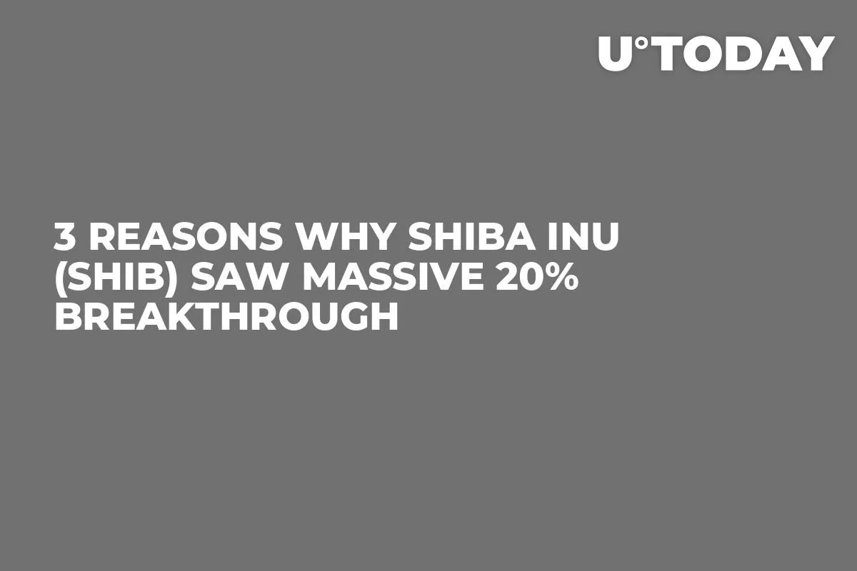 3 Reasons Why Shiba Inu (SHIB) Saw Massive 20% Breakthrough