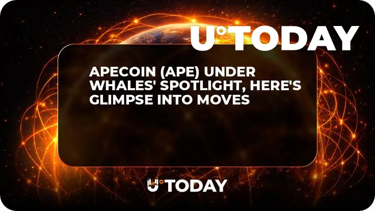 ApeCoin (APE) Under Whales' Spotlight, Here's Glimpse into Moves