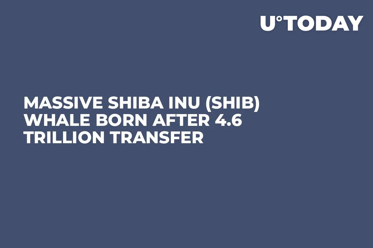Massive Shiba Inu (SHIB) Whale Born After 4.6 Trillion Transfer