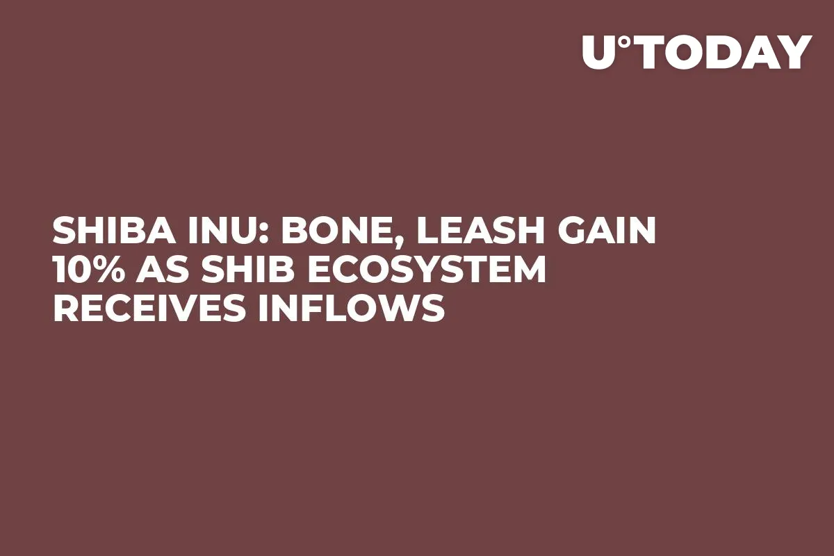Shiba Inu: BONE, LEASH Gain 10% as SHIB Ecosystem Receives Inflows