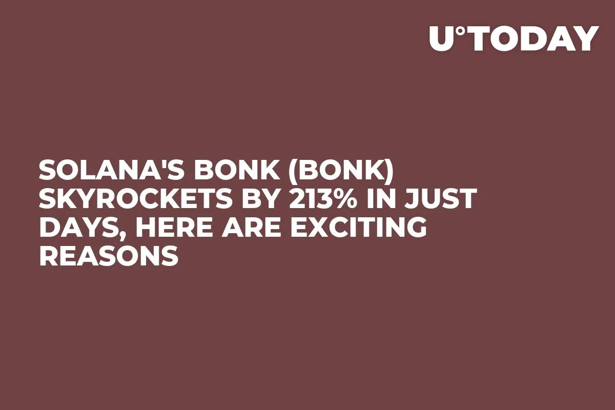 Solana's Bonk (BONK) Skyrockets by 213% in Just Days, Here Are Exciting Reasons