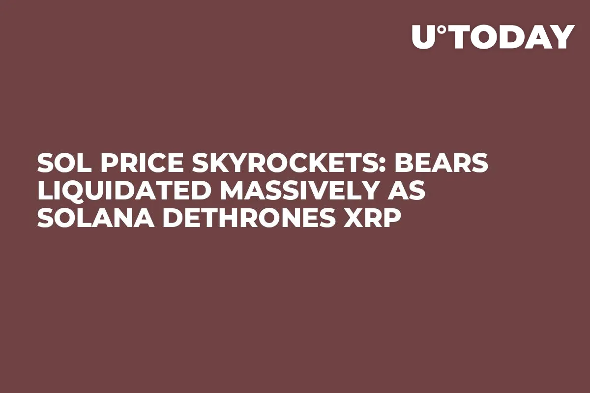 SOL Price Skyrockets: Bears Liquidated Massively as Solana Dethrones XRP