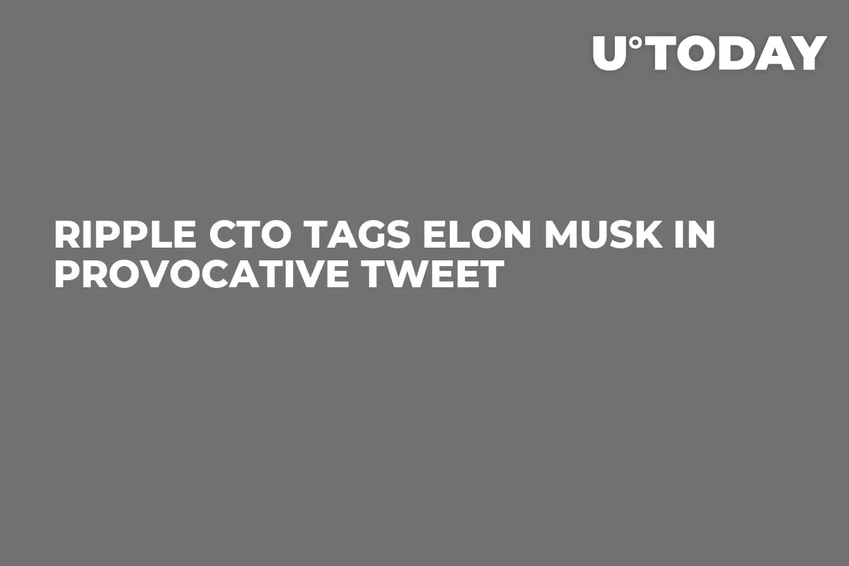 Ripple CTO Tags Elon Musk in Provocative Tweet