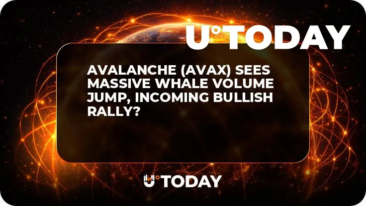 Avalanche (AVAX) Sees Massive Whale Volume Jump, Incoming Bullish Rally?