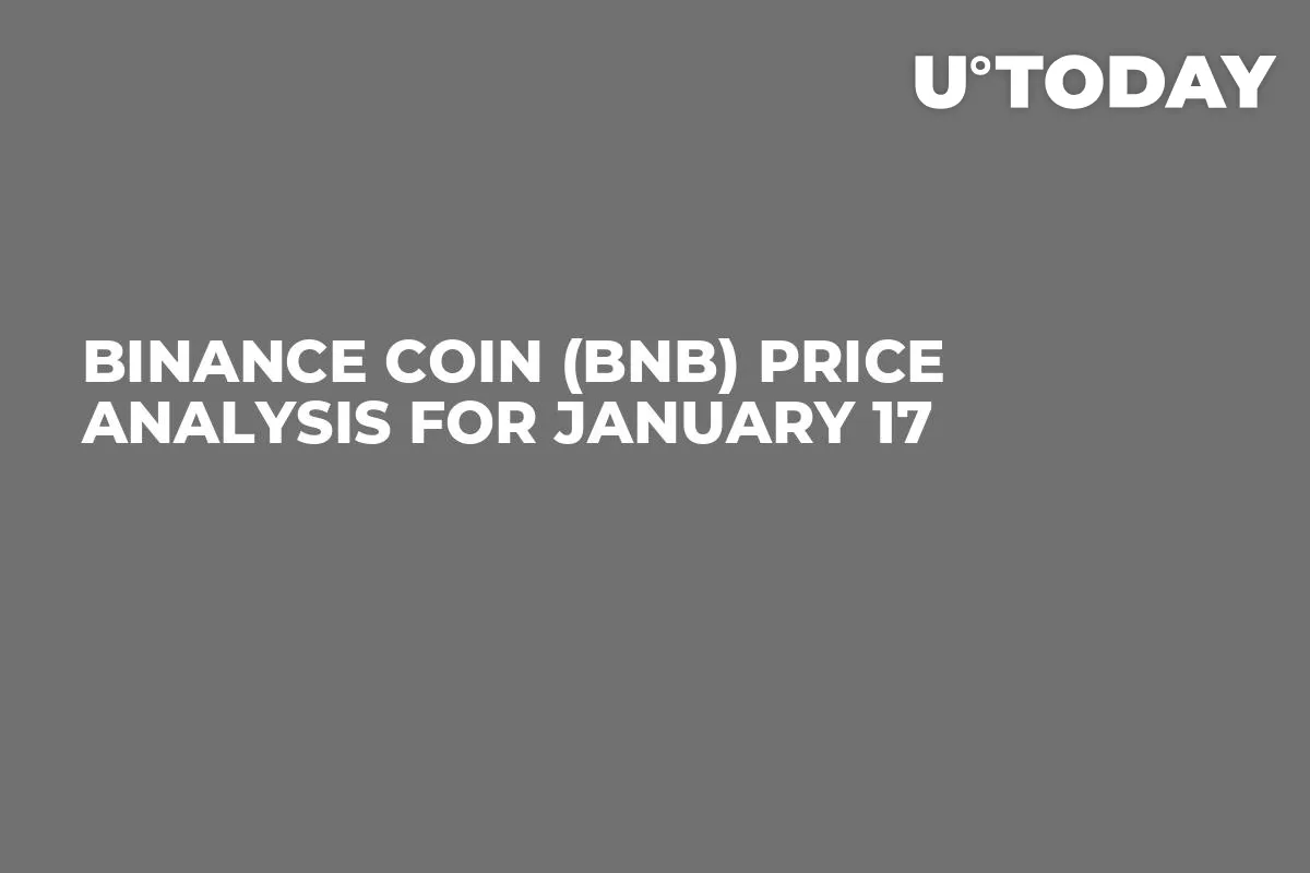 Binance Coin (BNB) Price Analysis for January 17