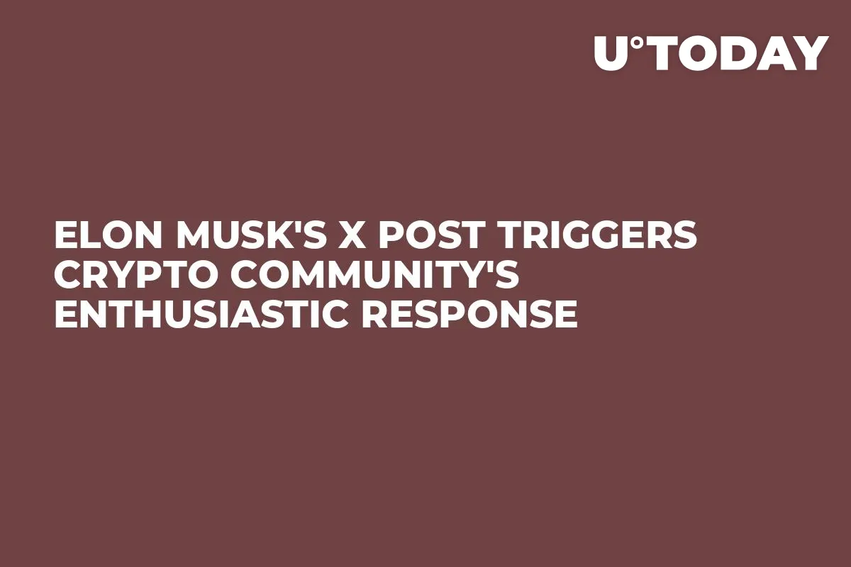 Elon Musk's X Post Triggers Crypto Community's Enthusiastic Response