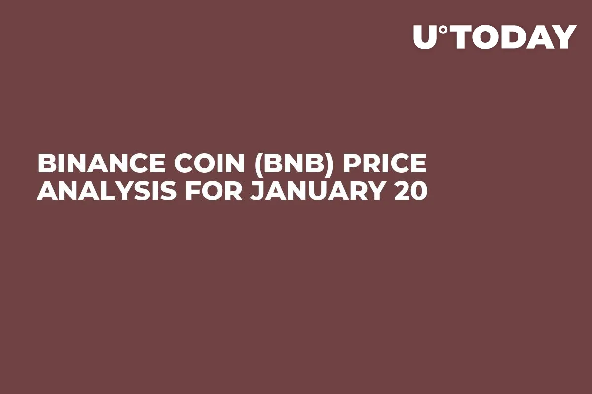 Binance Coin (BNB) Price Analysis for January 20