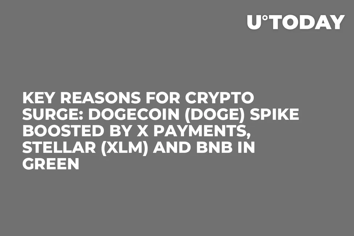 Key Reasons for Crypto Surge: Dogecoin (DOGE) Spike Boosted by X Payments, Stellar (XLM) and BNB in Green