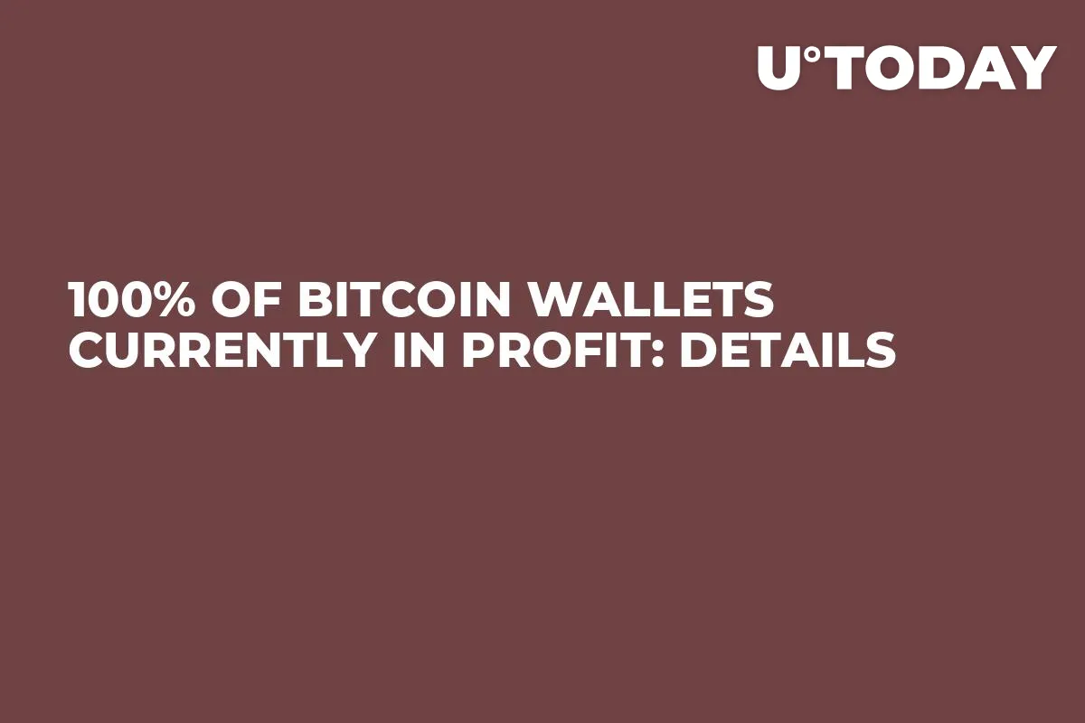 100% of Bitcoin Wallets Currently in Profit: Details