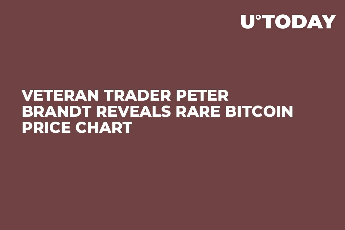 Veteran Trader Peter Brandt Reveals Rare Bitcoin Price Chart