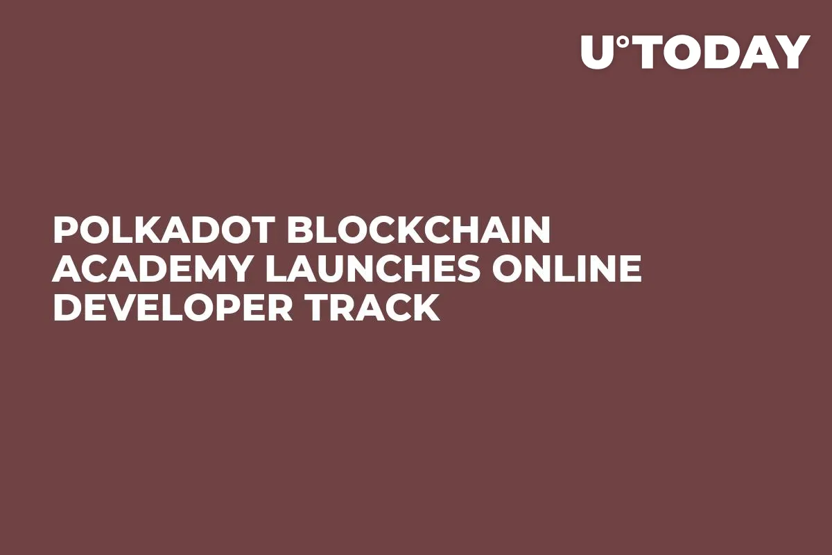 Polkadot Blockchain Academy Launches Online Developer Track