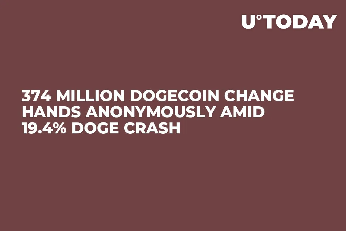374 Million Dogecoin Change Hands Anonymously Amid 19.4% DOGE Crash