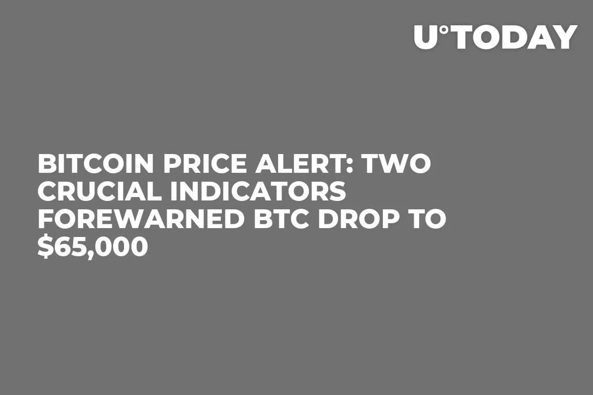 Bitcoin Price Alert: Two Crucial Indicators Forewarned BTC Drop to $65,000