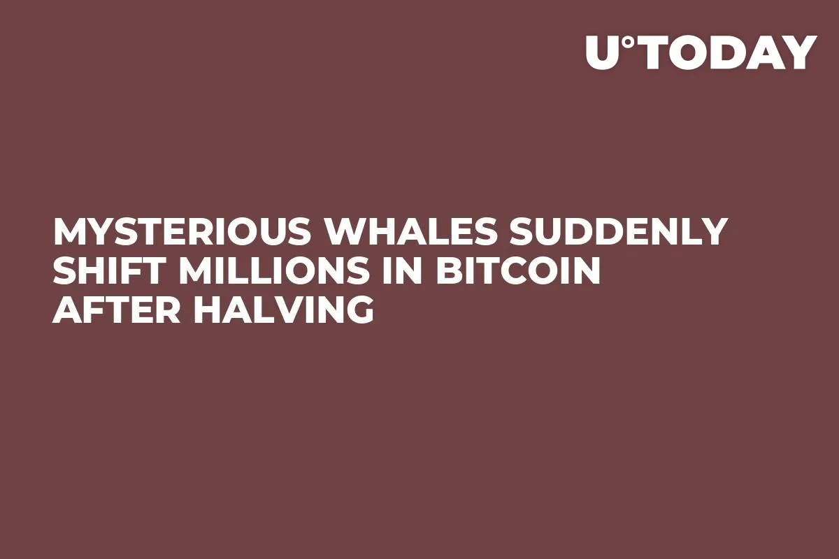 Mysterious Whales Suddenly Shift Millions in Bitcoin After Halving