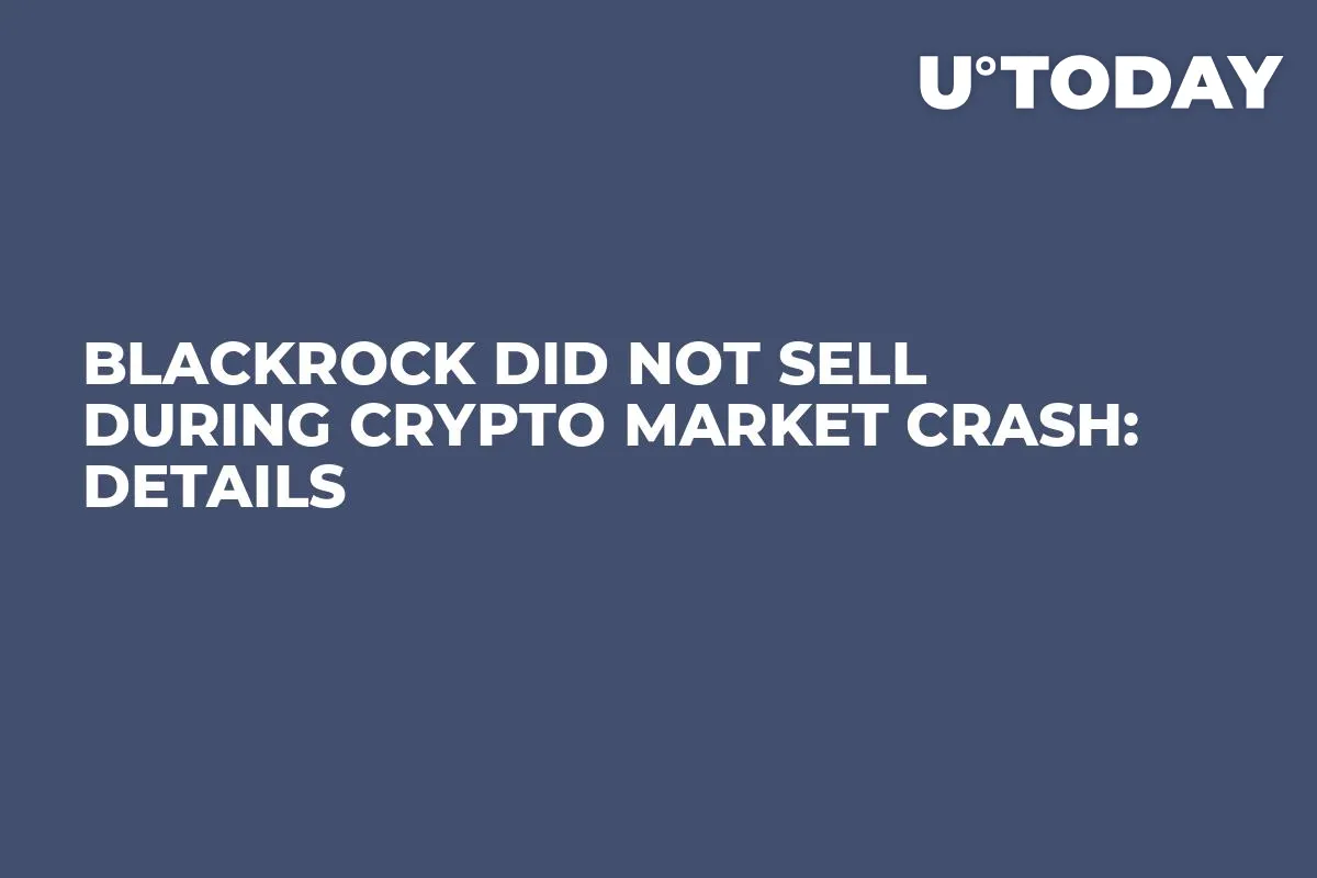 BlackRock Did Not Sell During Crypto Market Crash: Details