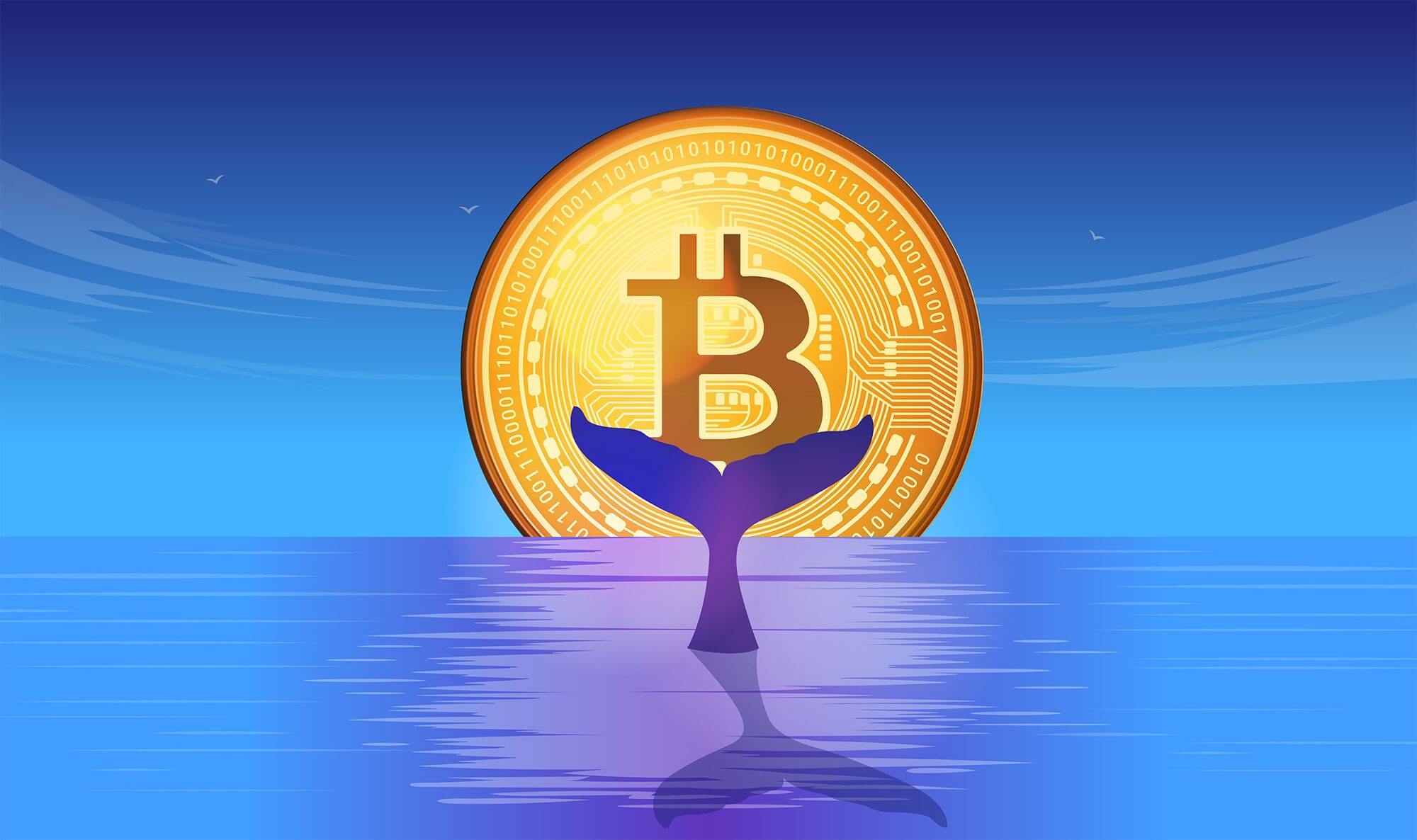 La ola de inversores millonarios y el futuro de Bitcoin: ¿estamos a punto de ver un salto a los $160,000?