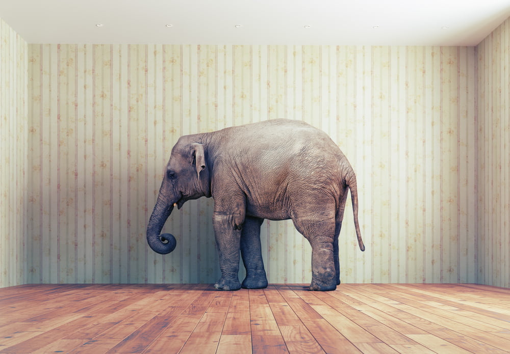 elephant bitcoin cash