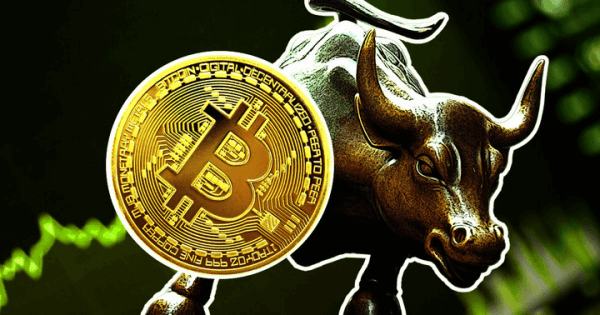 bitcoin bull