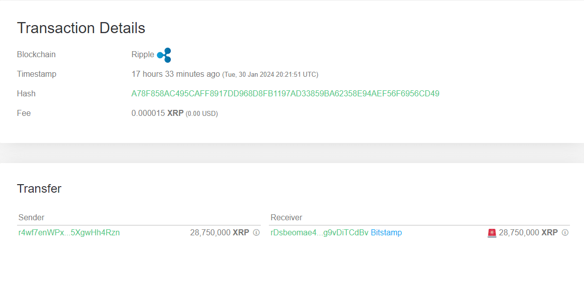 XRP Whale Transfer