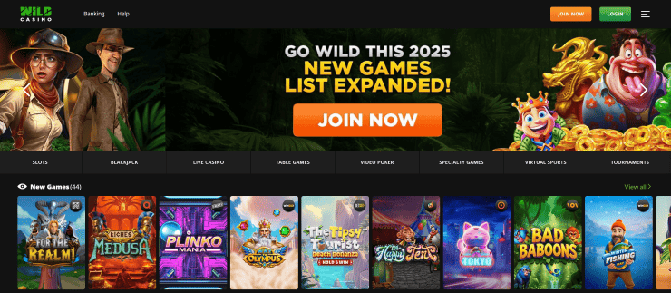 Wild casino homepage