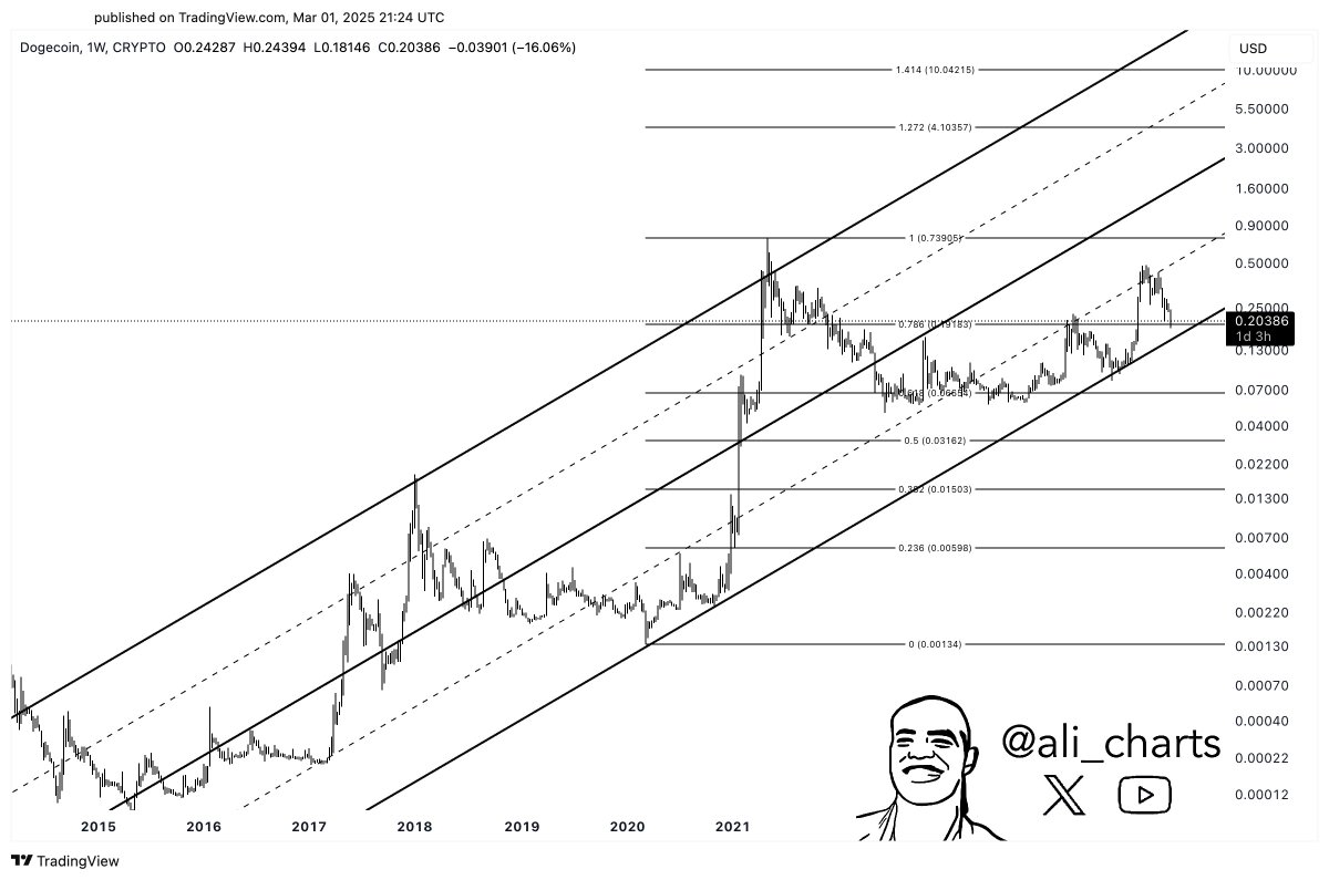Dogecoin testing high time frame demand | Source: Ali Martinez on X