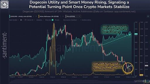 dogecoin użyteczność santiment