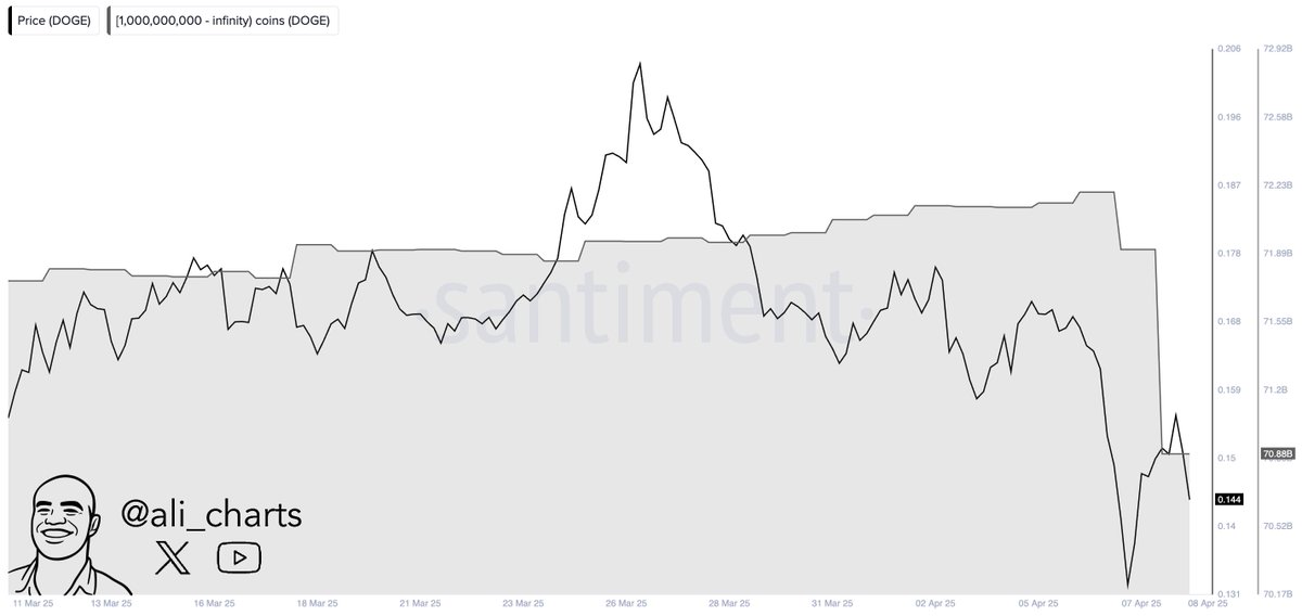 Las ballenas de Dogecoin descargan 1.32B DOGE en 48H | Fuente: Ali Martinez en X