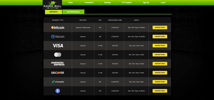 raging bull casino deposit methods