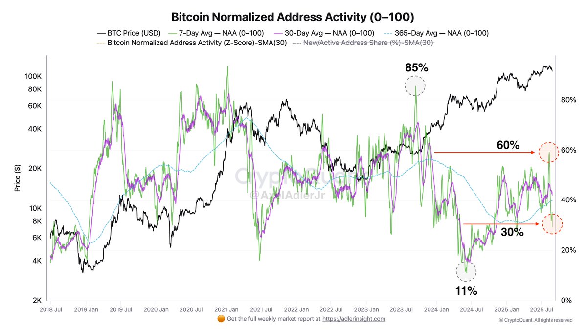 Bitcoin Normalized Address Activity | Source: Axel Adler