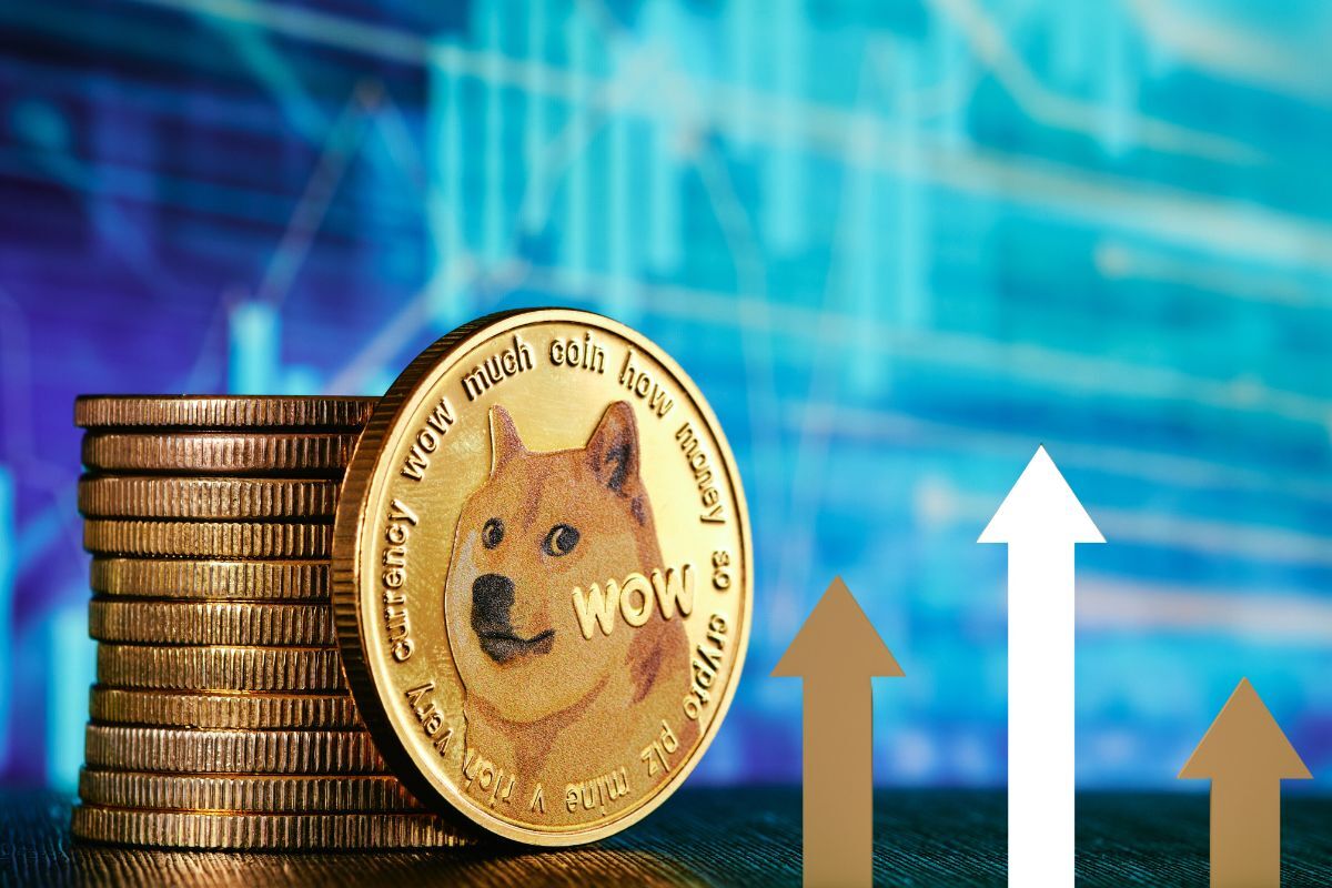 dogecoin market price