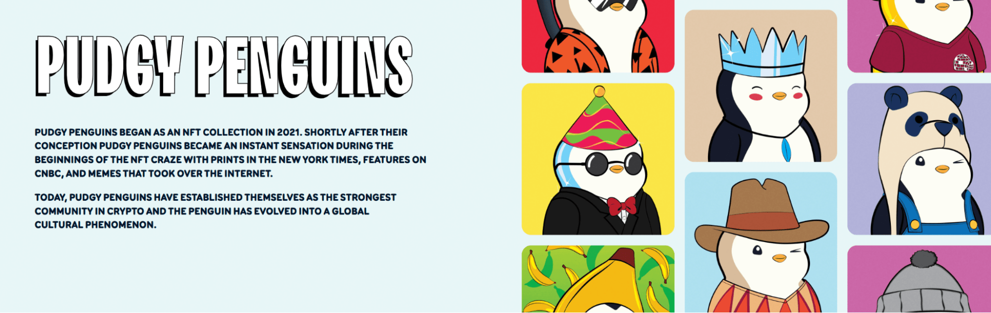 Pudgy Penguins explanation