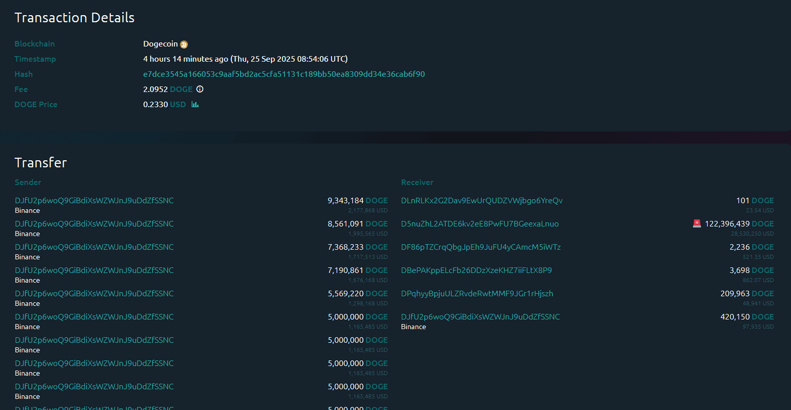 Dogecoin Whale