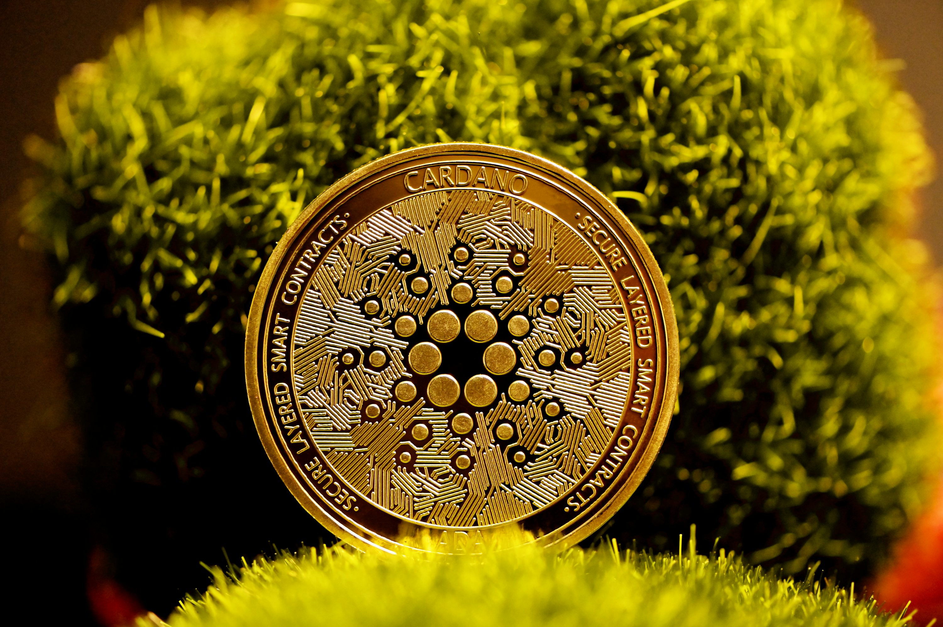 Cardano