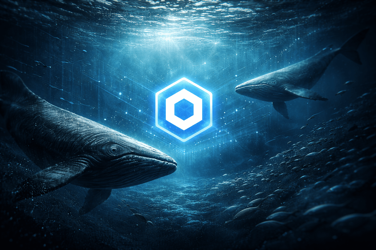 Chainlink Whales