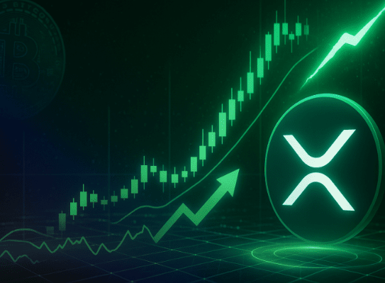 xrp kriptovaluta