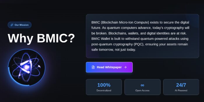 BMIC project mission.