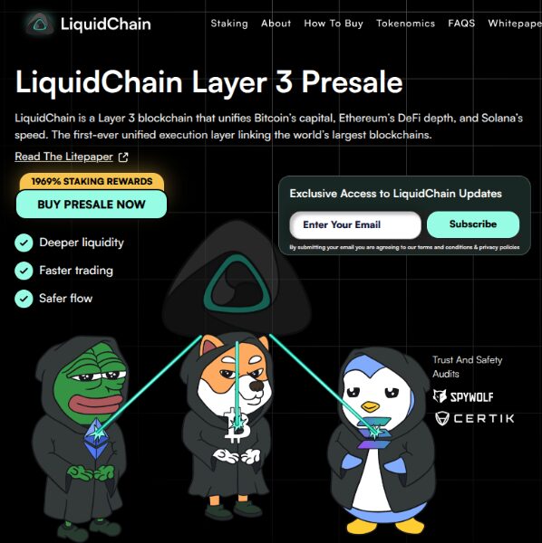 LiquidChain landing page with quick explanation.